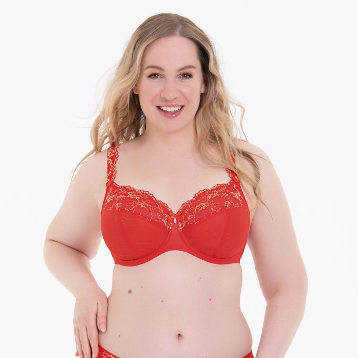 Colette-Reggiseno Big Cup coppa D-H, ANITA - immagine 2
