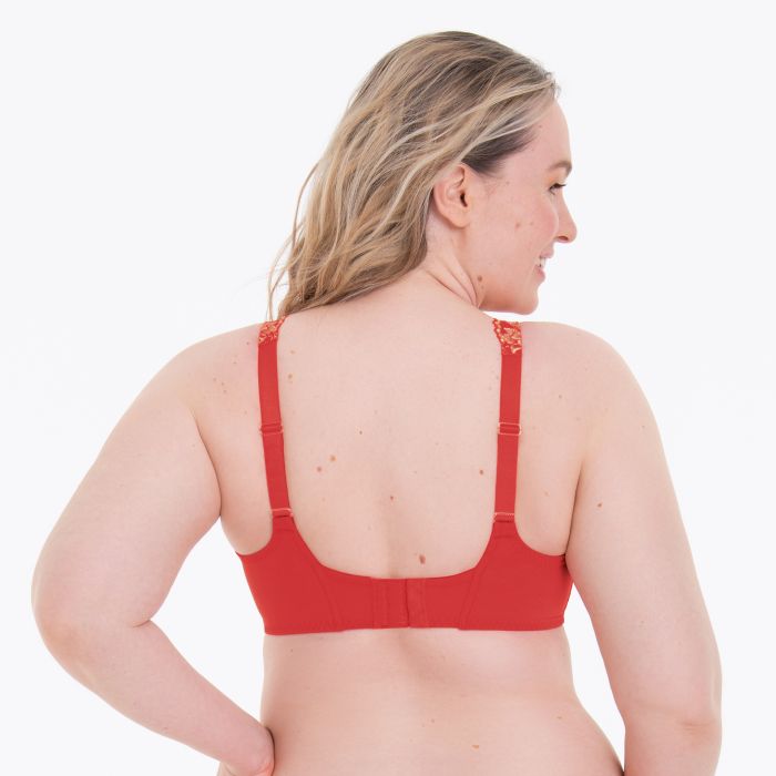 Colette-Reggiseno Big Cup coppa D-H, ANITA - immagine 3