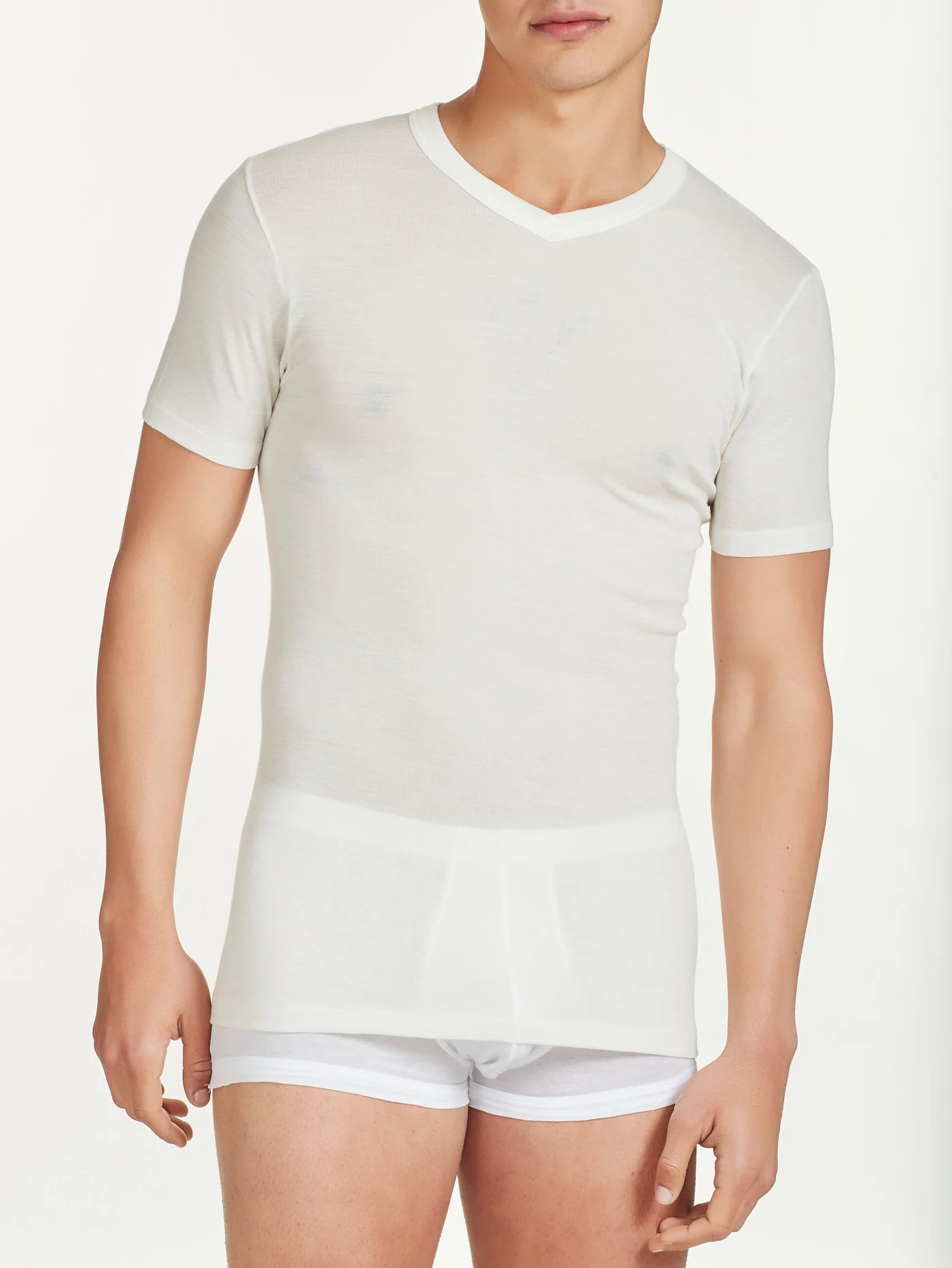 MAGLIA UOMO M/C SCOLLO A V LANA E SETA-RAGNO(mis.4-5) - immagine 2